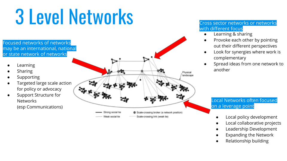 3 level network graph
